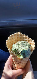 Yellow Belly Ice Cream