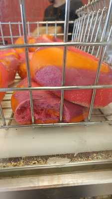 Foto 38290732