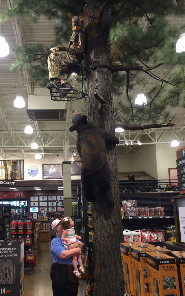Cabela's Deli And Grill