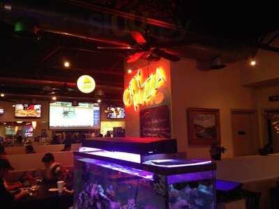 City Pizza Bar & Grill