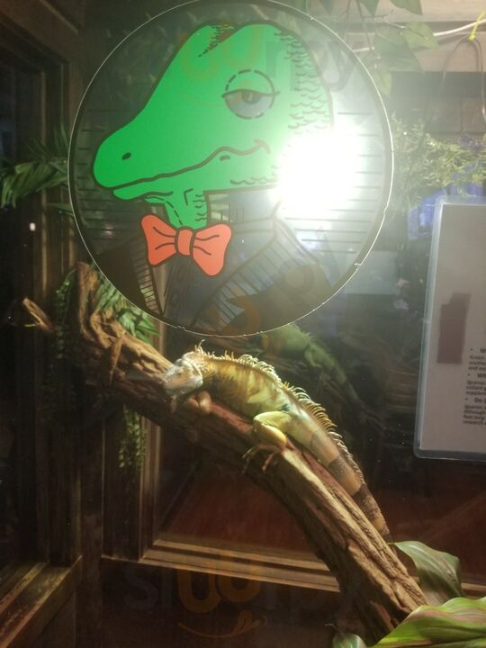 Winking Lizard Tavern