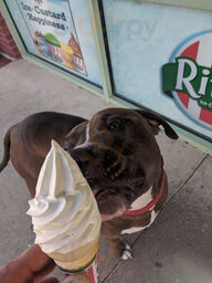 Rita's Huntington Valley