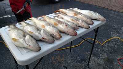 Horner's Butcher Block