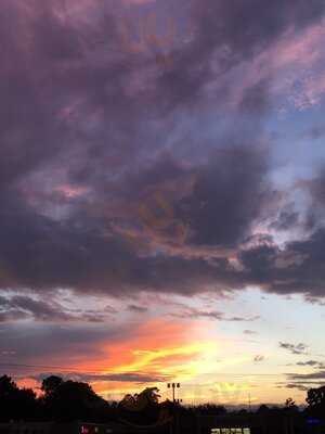 Cedar Tree Restaurant