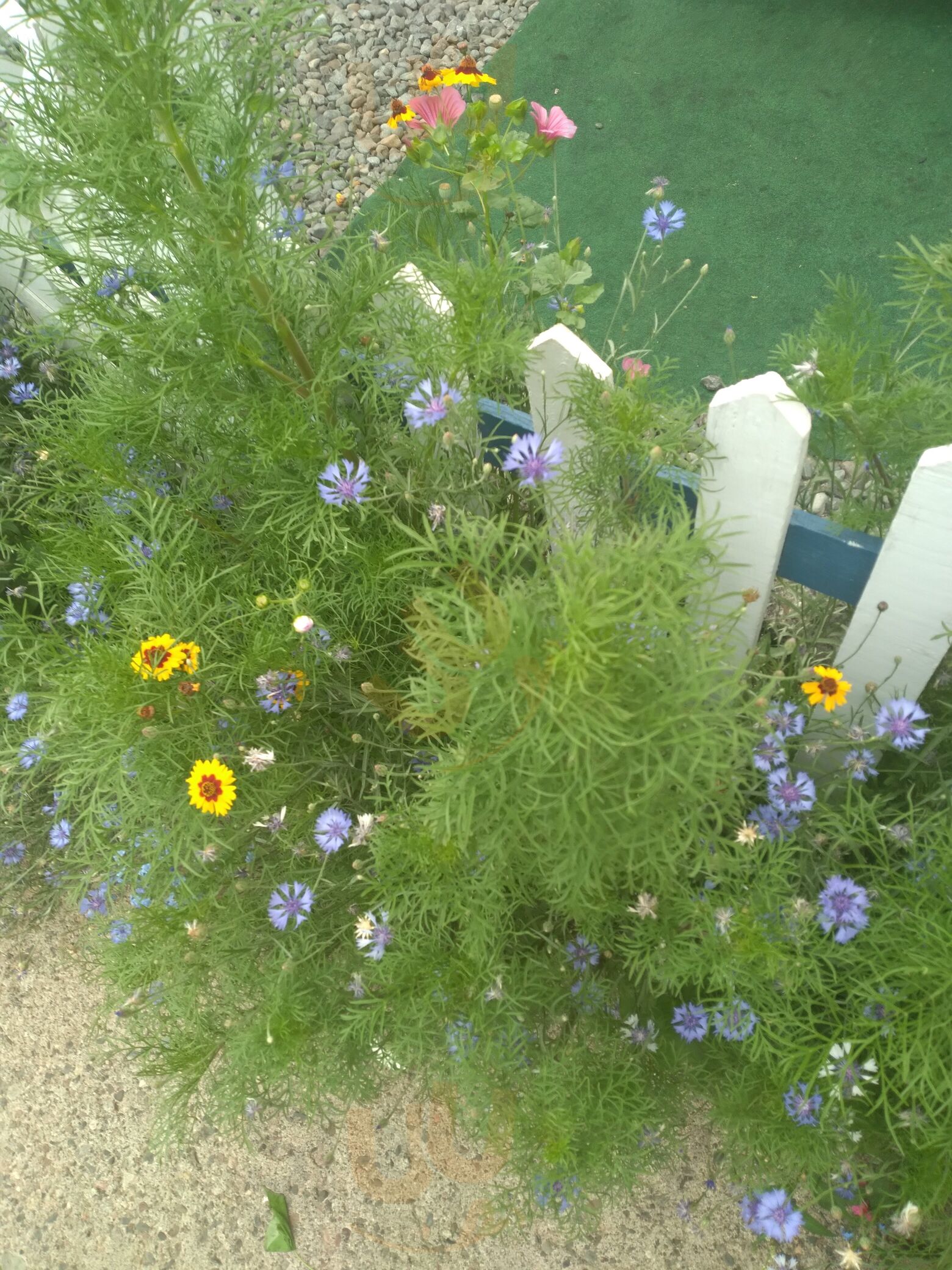 Bobby The Greek's Original Gyros