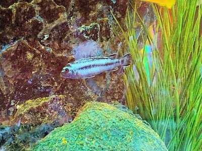 George's Restaurant - Oxford