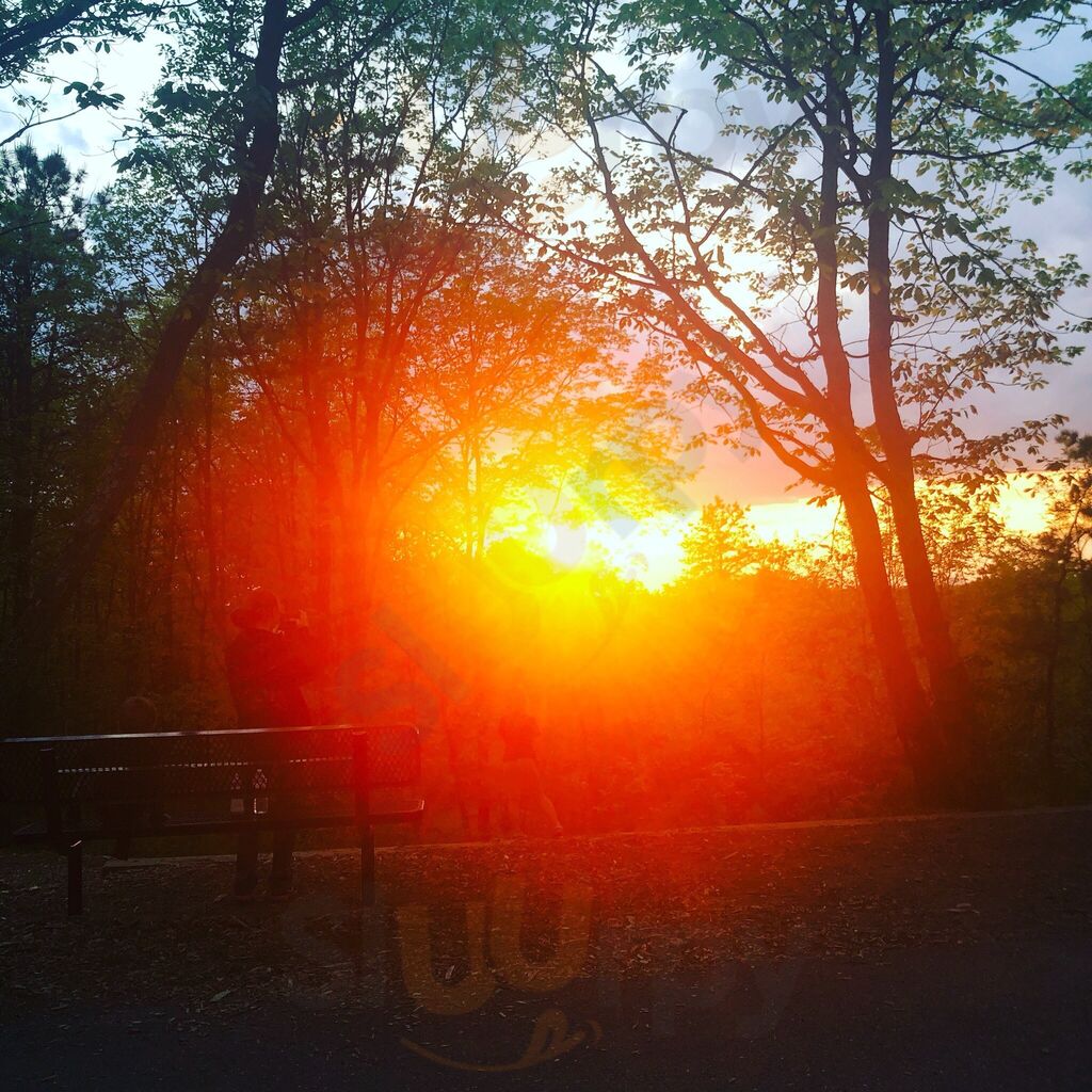 Jamrock Caribbean Soul Food