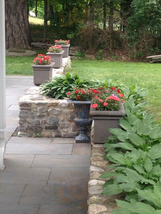 The Olive Tree Restaurant