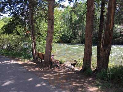 Red Buffalo Coffee & Tea