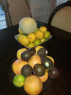 Hartz Chicken Buffet