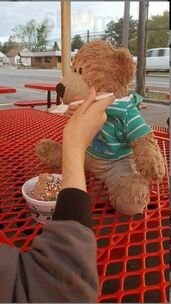 Mr Bill's