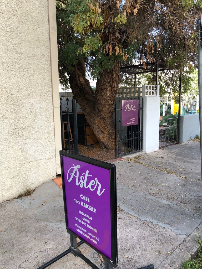 Aster
