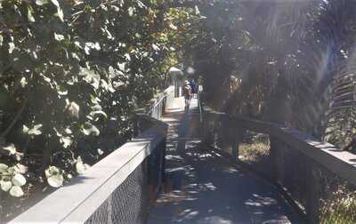 Shark Tooth Beach Concessions