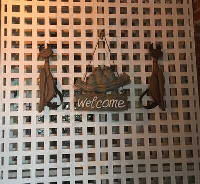 The Cat And Owl Steak & Seafood