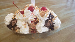 Ice Cream Gallery