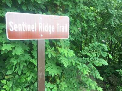 Huckleberry's Restaurant