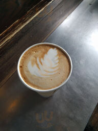 Bear Claw Coffee Co.