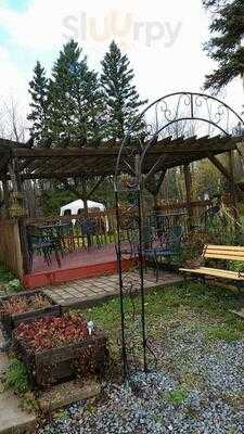 Mocha Moose Coffee Cafe