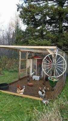 Mocha Moose Coffee Cafe