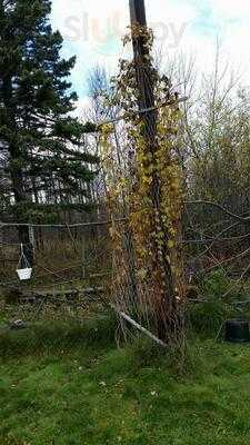 Mocha Moose Coffee Cafe