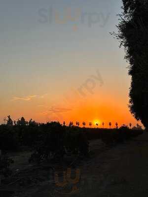 Alejandras Mexican Restaurant