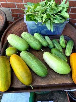 Pittsburgh Thai Restaurant By Boris