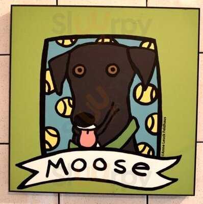 Moosies Ice Cream Parlor