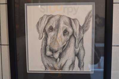 Moosies Ice Cream Parlor