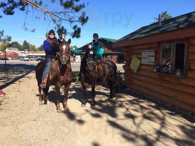 Log Cabin Coffee Drive-thru