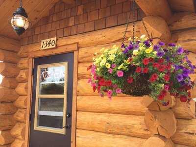 Log Cabin Coffee Drive-thru