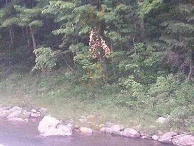 Old Red Mill Inn And Restaurant