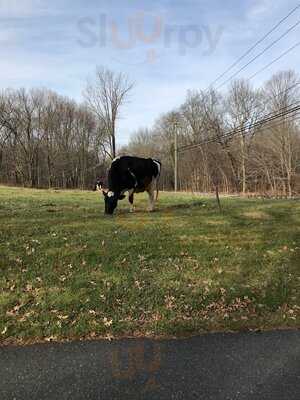 Rich Farm Ice Cream Shop