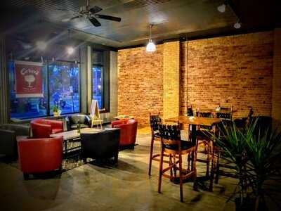 Cercis Brewing Company