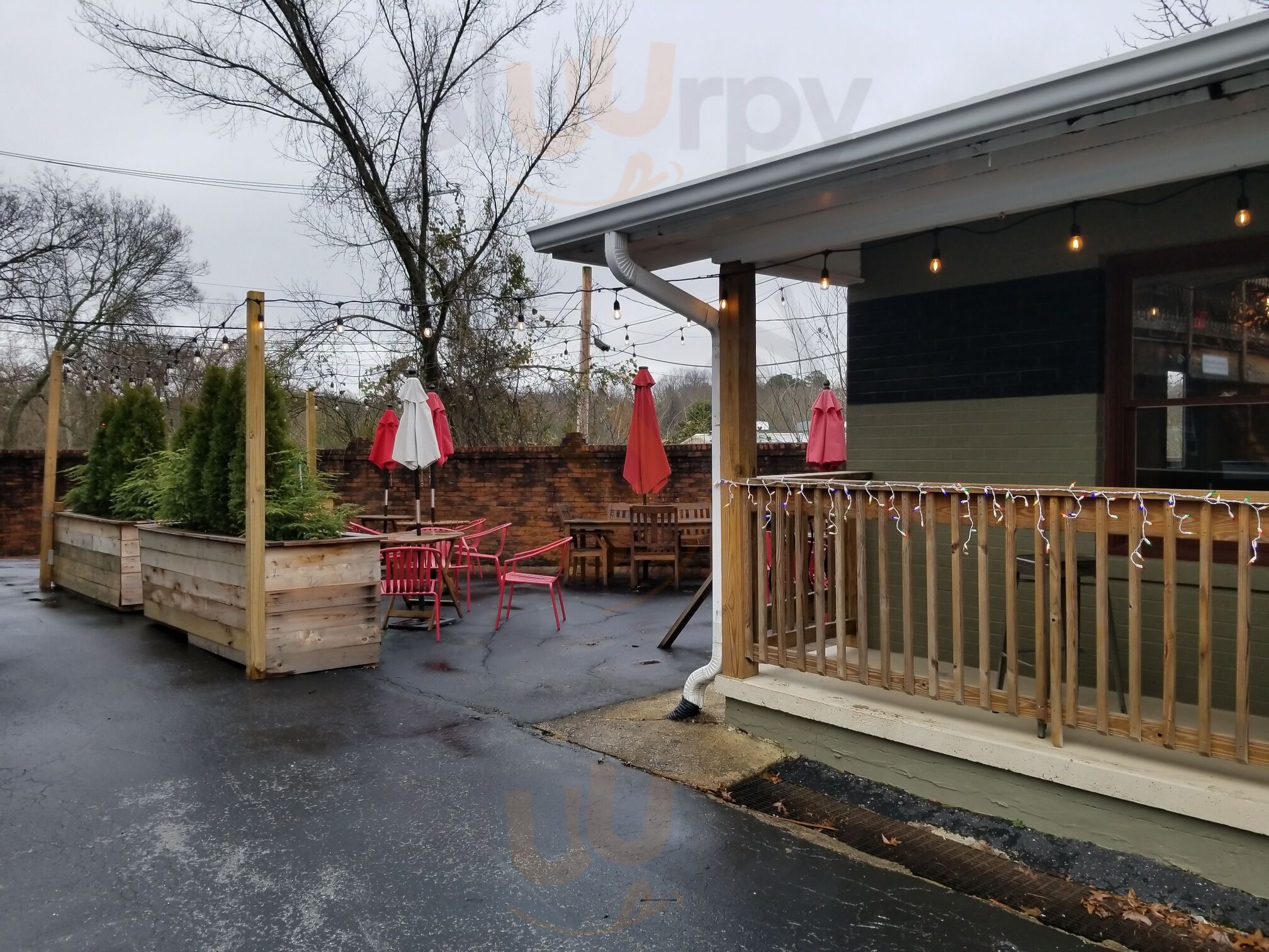 Mayfly Coffee