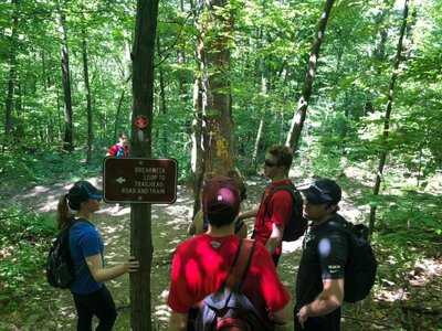 Angelina's Pizza & Beer