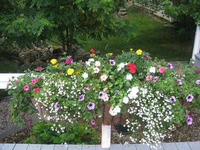 Inn On Newfound Lake