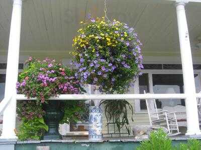 Inn On Newfound Lake