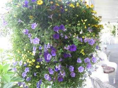 Inn On Newfound Lake