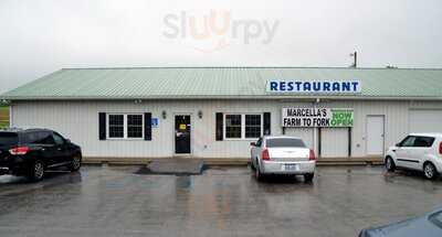 Marcellas Farm To Fork