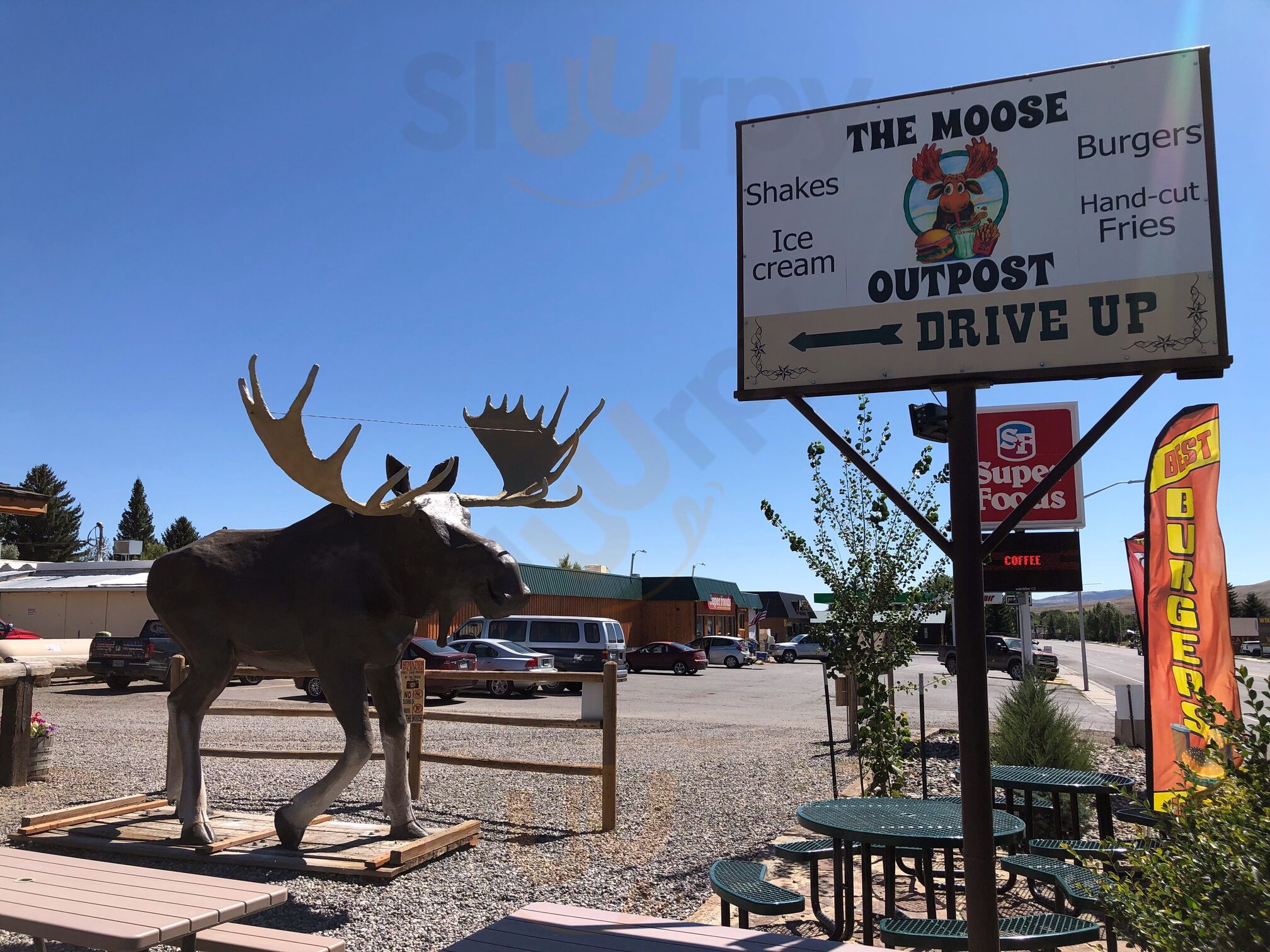 The Moose Outpost
