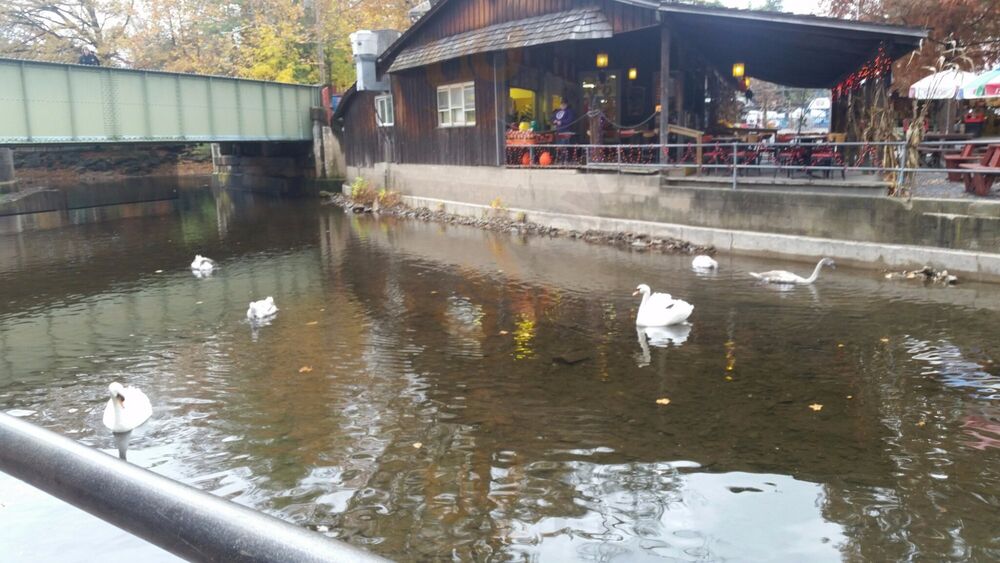 The Wharf