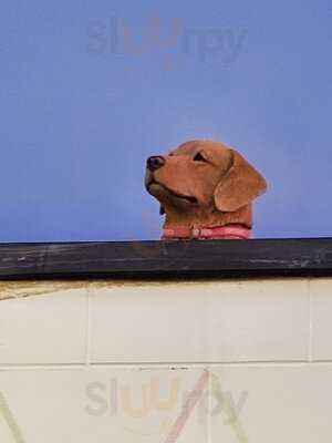 Olympia Cafe And Gyros