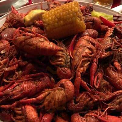 Knotty Pine On The Bayou