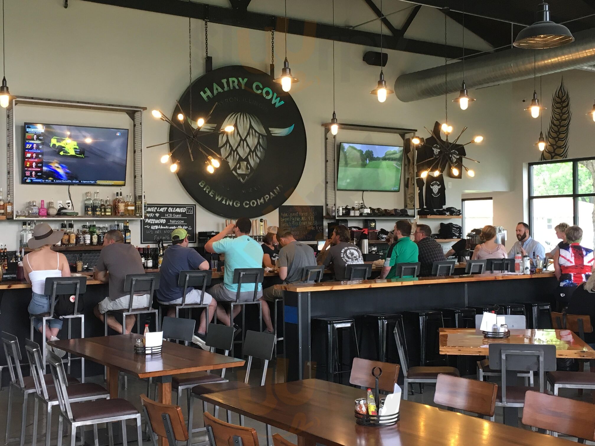 Hairy Cow Brewing Co.