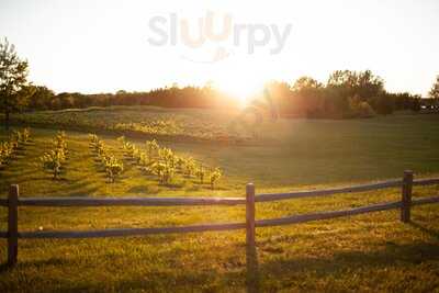Cherry Creek Cellars