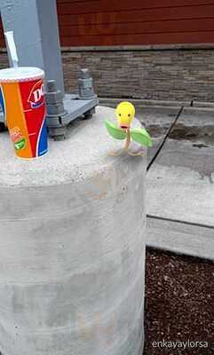 Dairy Queen Grill & Chill