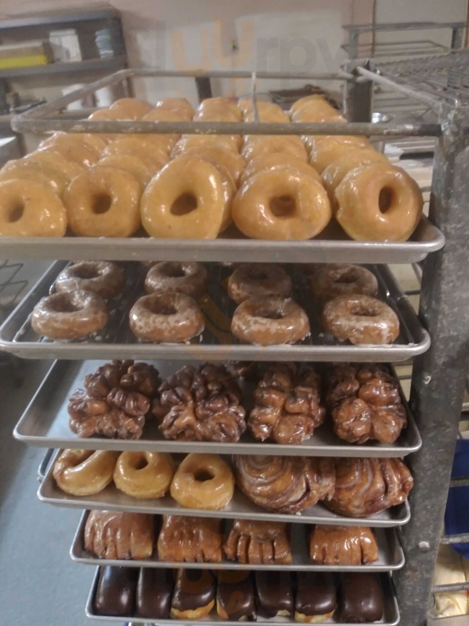 Noah's Donut & Coffee Shop