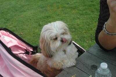 Christa's Cafe & Antiques