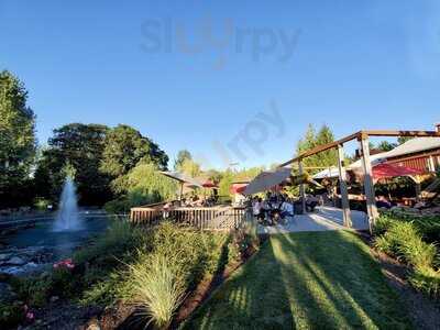 Aurora Colony Vineyards