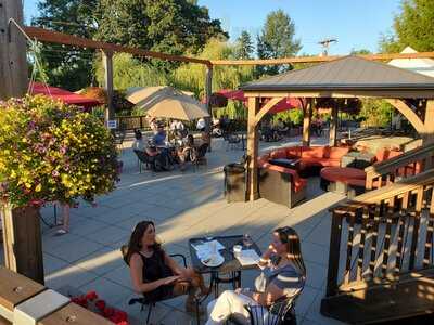 Aurora Colony Vineyards